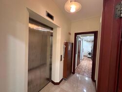 The Mayfair (D22), Condominium #449700351